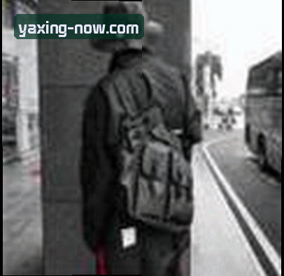 赵敏